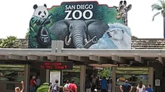 مرگ سالخورده‌ترین ساکن باغ وحش «سن‌دیگو» در ۱۴۱ سالگی