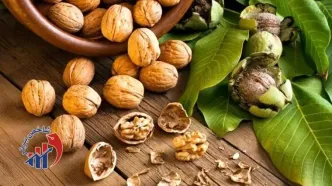 ۹ کشور طرفدار این محصول ایران شدند