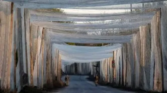 منطقه مرگ و عبور از روبیکون؛ چگونه ورق جنگ در سال 2025 برگشت؟