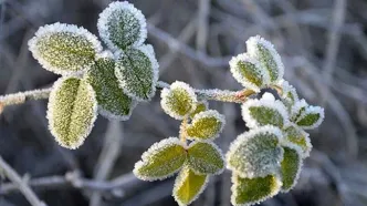 هشدار بی‌هنجاری سرما در ۶ استان صادر شد