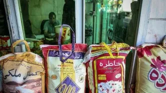 برنج بالاخره ارزان شد