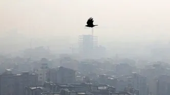 اگر بر اثر آلودگی هوا این علائم را داشتید به اورژانس مراجعه کنید