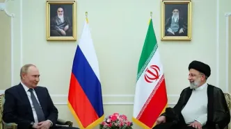 «فلفل دلمه‌ای» و دیپلماسی اقتصادی!