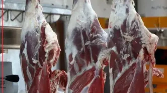 قیمت گوشت قرمز امروز ۲۶ آبان 1404 + جدول
