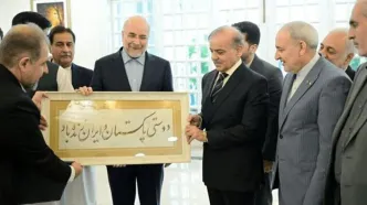 گزارش از دو سفر رئیس و نایب‌رئیس مجلس به پاکستان