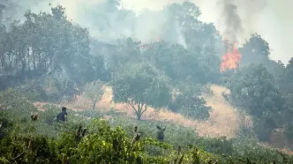 هیرکانی در اضطراب آتش بی‌توجهی می‌سوزد/ گردشگرانِ ناآگاه، تهدید جنگل‌های مازندران