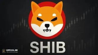 تحلیل قیمت شیبا اینو ۲۰۲۵ تا ۲۰۳۰