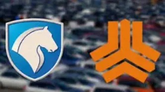 معجزه مدیریت خصوصی