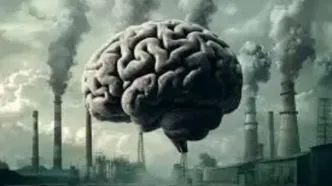اثرات پنهان آلودگی هوا بر «پیری زودرس مغز»