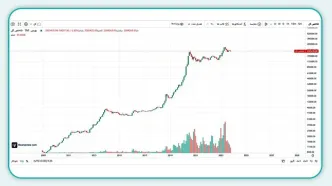 انفجار ورود پول حقیقی؛ رکوردشکنی ۱۸۹۳ میلیارد تومانی در روز نزولی شاخص کل