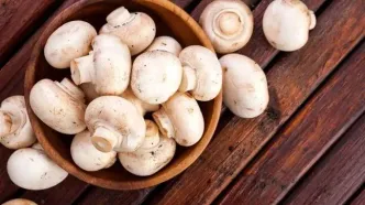 برای سلامت قلبتان قارچ بخورید