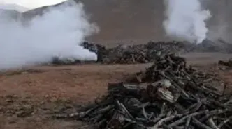 کشف کارگاه غیرمجاز تولید زغال در شهرستان گتوند