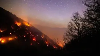 آتش‌سوزی جدید در جنگل الیت تکذیب شد