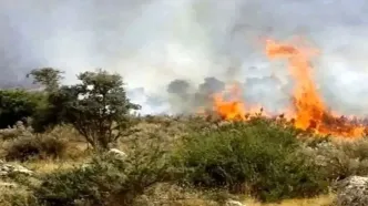 استفاده از هواپیمای ایلیوشین ۷۶ سپاه برای اطفای حریق جنگل الیت چالوس