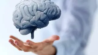 اثرات پنهان آلودگی هوا بر «پیری زودرس مغز»