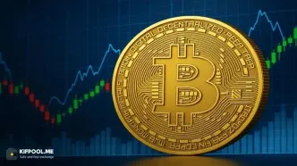 سه محرک مهم که می‌توانند سقوط بیت‌کوین را متوقف کنند