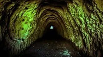 بازگشت از اعماق تاریخ؛ حیات ۴۰ هزار ساله در آلاسکا احیا شد