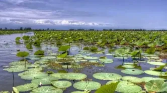 باشگاه استقلال حامی تالاب‌های کشور