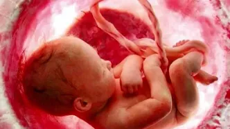 غربالگری در دوران بارداری ممنوع نیست