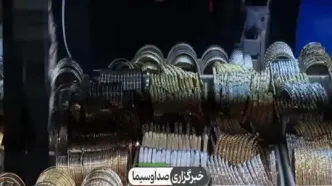 ببینید| چرا طلا گران شده است؟