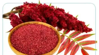 سماق گیاهی ضد درد و اضطراب