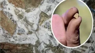 رونمایی از ذخایر عظیم طلا که سال‌ها پنهان مانده بود/ فوران طلا از دل زمین