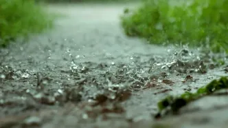 فعالیت سامانه بارشی تا آخر هفته | در کدام استان ها امروز باران می بارد؟