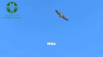 پرواز ۲ همای سعادت در پارک ملی صیدوا