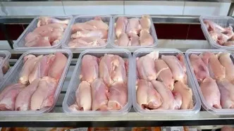 وزیر کشاورزی: قیمت مرغ متعادل شده!