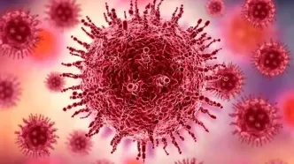 هفتمین بیمار مبتلا به ایدز با پیوند سلول‌های بنیادی درمان شد