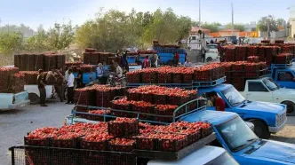 افزایش قیمت بنزین، بازار میوه را گران‌تر می‌کند