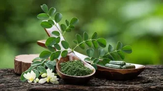 این گیاه پرخاصیت، قاتل قند خون و کلسترول است