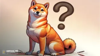 شیبا اینو در بیست و چهار ساعت یازده درصد جهش کرد!