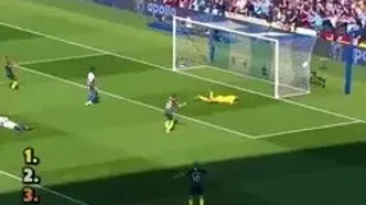 ویدئو: 7 گل زیبا با فیک شات!