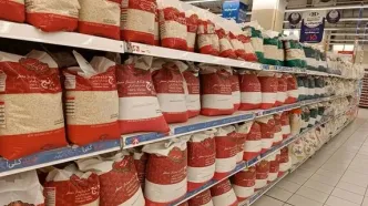 قیمت واقعی برنج وارداتی ۴۰ هزار تومان است نه ۱۲۰هزار تومان!