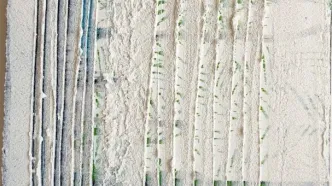 کار هنر انتقال نیست، دگردیسی است