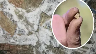 رونمایی از ذخایر عظیم طلا که سال‌ها پنهان مانده بود / فوران طلا از دل زمین