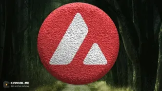 آوالانچ به کف جدید نزدیک می‌شود؛ داده‌های تکنیکال چه می‌گویند؟