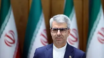 واکنش دولت به انتقادها از اظهارنظر اخیر عراقچی