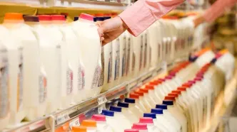 علت گرانی های پی در پی لبنیات فاش شد