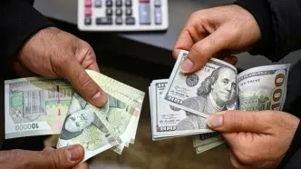 اسامی دریافت‌کنندگان ارز ترجیحی سال ۱۴۰۴ اعلام شد