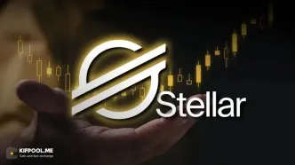 هشدار جدی استلار: فرصت واقعی در بازار کریپتو کجاست؟