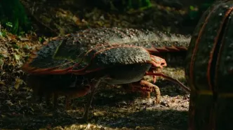 هزارپای غول‌پیکر ۳ متری، هیولایی به اندازه یک خودرو