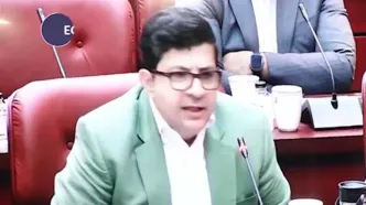 به اسم تولید، ارز ارزان می‌گیرند؛ واقعیت پشت پرده صنایع ایران