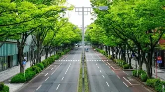 در ژاپن سطل زباله خیابانی وجود ندارد! چرا؟