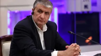 آژانس اگر دستورالعملی برای بازرسی از تاسیسات آسیب دیده از حمله نظامی دارد ارائه کند/ اینکه تحت فشار اسرائیل، 3 کشور اروپایی و آمریکا بر ما فشار وارد می‌کنند، تاثیری بر ما ندارد/  این آژانس است که باید پاسخگو باشد و به دنیا نیز پاسخ بدهد