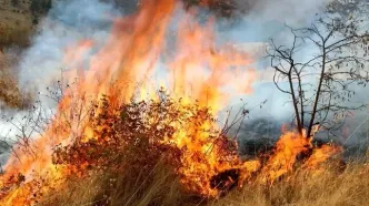 سخنگوی قوه قضائیه: آتش زدن عمدی جنگل‌ها ۳ تا ۱۰ سال حبس را به دنبال خواهد داشت