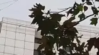 حرکت خطرناک دختر جوان در تهران روی سیم‌های بین ساختمان +فیلم