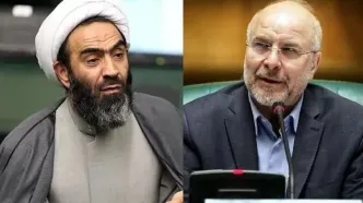 نقدعلی به رئیس مجلس: ما حقوق و فقه خوانده‌ایم حضرت عالی مهندسی و عمران؛ یک نفر حقوقدان آن بالا بنشیند/ قالیباف: من نه مهندس هستم نه عمران خواندم؛ بقیه قضاوت‌های شما همین طوری است  + ویدئو