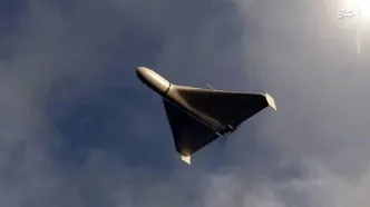 کپی کاری آمریکا از روی پهپاد ایرانی شاهد/ نشنال اینترستپ گزارش داد